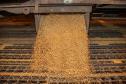 Estatística mostra que nos oito últimos meses, complexo de exportação de grãos do Porto de Paranaguá carregou meio milhão de tonelada a mais de grãos, em comparação com 2018