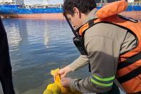 Portos do Paraná promove simulado de emergência com óleo no mar em Antonina