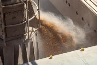 Volume de milho embarcado em janeiro em Paranaguá é 161% superior ao mesmo mês de 2022