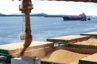 Portos do Paraná registram alta de 7% na movimentação geral de carga em abril