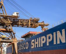Serão 89 mil toneladas de farelo de soja, carregadas no navio Kang Xin Hai, que tem 254 metros de comprimento e segue para o porto de Amsterdã. Esta é a segunda maior operação de granéis em um único navio da história do porto paranaense