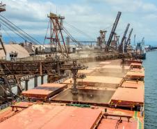 A Portos do Paraná espera atracar até o fim de abril 115 navios. Porto de Paranaguá mantém operações com cuidados de segurança.