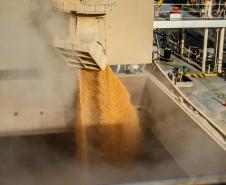 Tradicionalmente, a exportação de soja é mais forte no primeiro semestre e a de milho, no segundo. O que deve acontecer em 2020. O setor espera movimentar cerca de 1,3 milhão de toneladas do produto no próximo trimestre