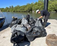 Mutirão de limpeza de manguezais retira quase 2,5 toneladas do entorno de Antonina