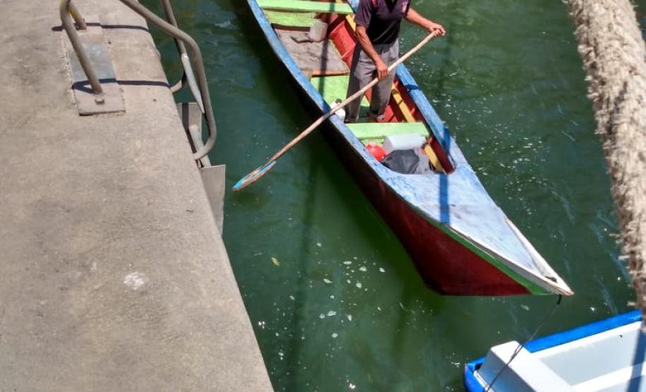 A situação foi atendida pela Guarda Portuária e pela equipe da Diretoria de Operações. E o senhor, de 68 anos, passa bem e já está são e salvo na casa da filha, na Ilha dos Valadares