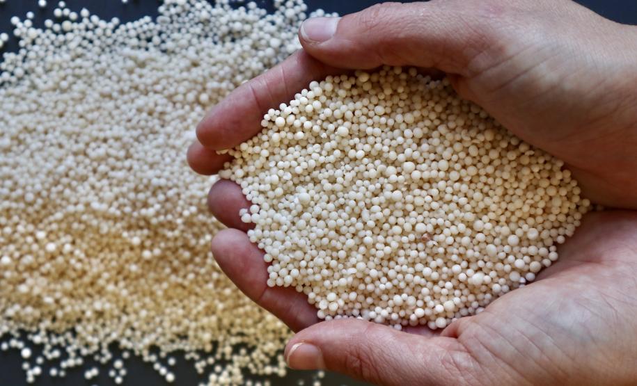 Este ano, de janeiro a julho, os Portos do Paraná movimentaram pouco mais de 5,5 milhões de toneladas de fertilizantes. O volume representa aumento de 5% em comparação com o mesmo período de 2019, quando 5,2 milhões de toneladas de adubo foram importadas. Os principais produtos que chegam pelos portos de Paranaguá e Antonina são cloreto de potássio (MOP), ureia, MAP (fosfato monoamônio); sulfato de amônio e complexos NPK.