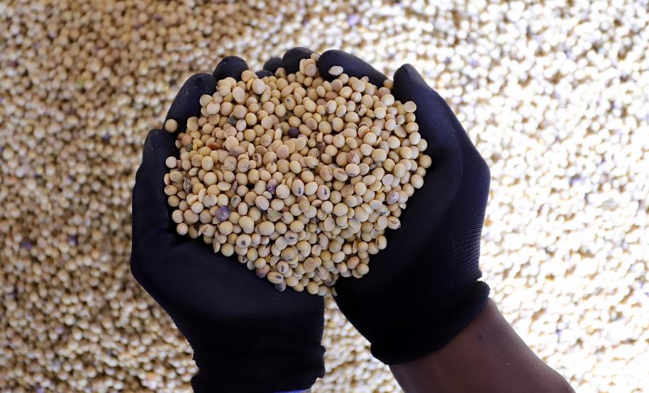 Pelo segundo mês consecutivo, os desembarques superaram os embarques nos portos de Paranaguá e Antonina. Em fevereiro, 1.946.654 toneladas de cargas entraram no Brasil pelos terminais paranaenses, enquanto 1.702.124 saíram do país.