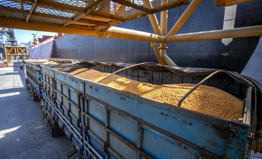 No berço 206 do Porto de Paranaguá, o navio Aurora SB está atracado para descarregar 35.279 toneladas de milho. Importado da Argentina, o cereal, que costuma ser exportado pelos terminais paranaenses, vai abastecer o mercado interno, em especial a indústria de amidos, base para alguns produtos alimentícios humanos.