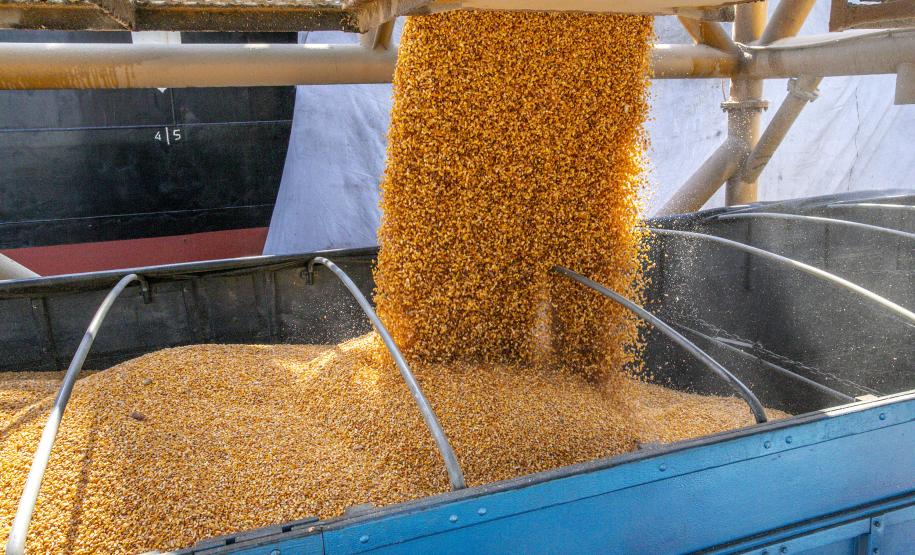 No berço 206 do Porto de Paranaguá, o navio Aurora SB está atracado para descarregar 35.279 toneladas de milho. Importado da Argentina, o cereal, que costuma ser exportado pelos terminais paranaenses, vai abastecer o mercado interno, em especial a indústria de amidos, base para alguns produtos alimentícios humanos.