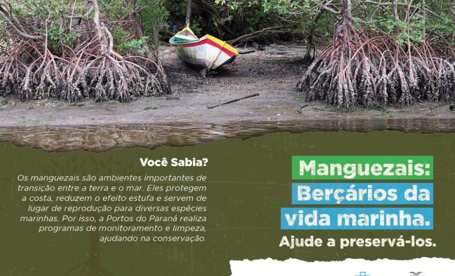 Campanha2021