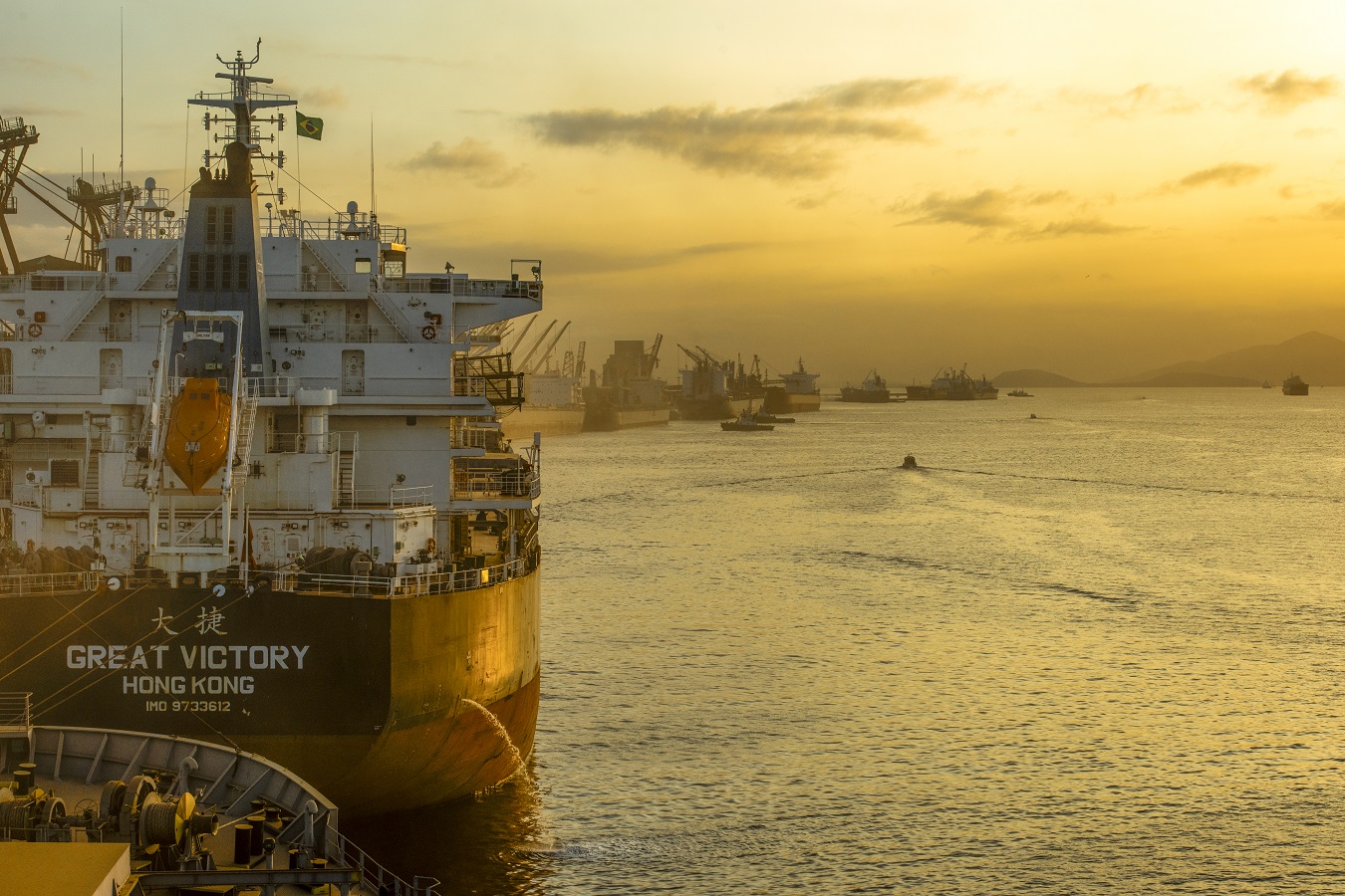 É líder na exportação de óleo vegetal e frango congelado, tem a maior capacidade em contêineres do país. É o segundo porto brasileiro na exportação de soja, farelo, açúcar, papel, carnes, álcool e veículos.