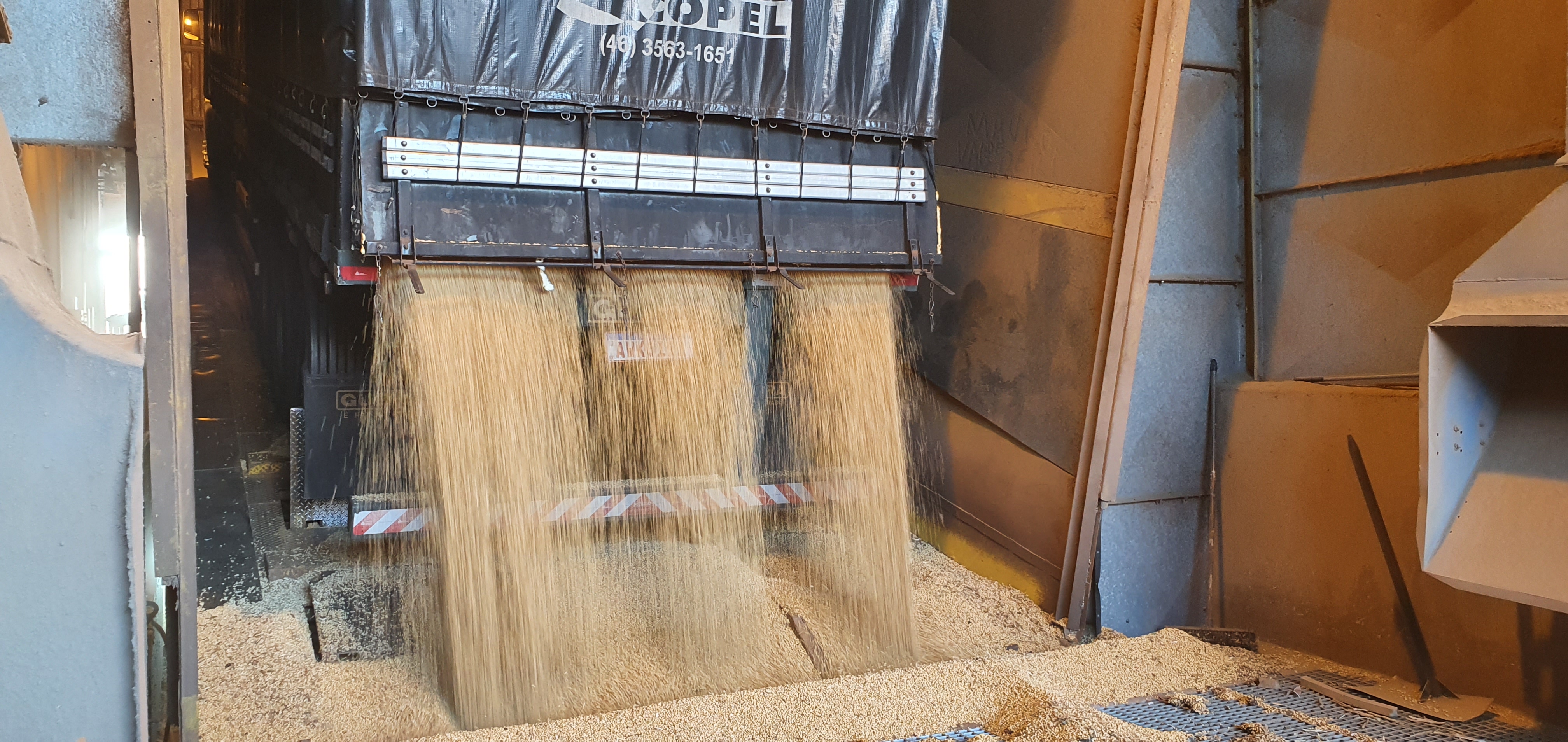 Quantidade embarcada pelo Corredor de Exportação do Porto de Paranaguá nos últimos oito meses já supera em 5,1%, o total exportado nos doze meses do ano passado. De janeiro a agosto de 2020, foram quase 11,15 milhões de toneladas exportadas do grão.