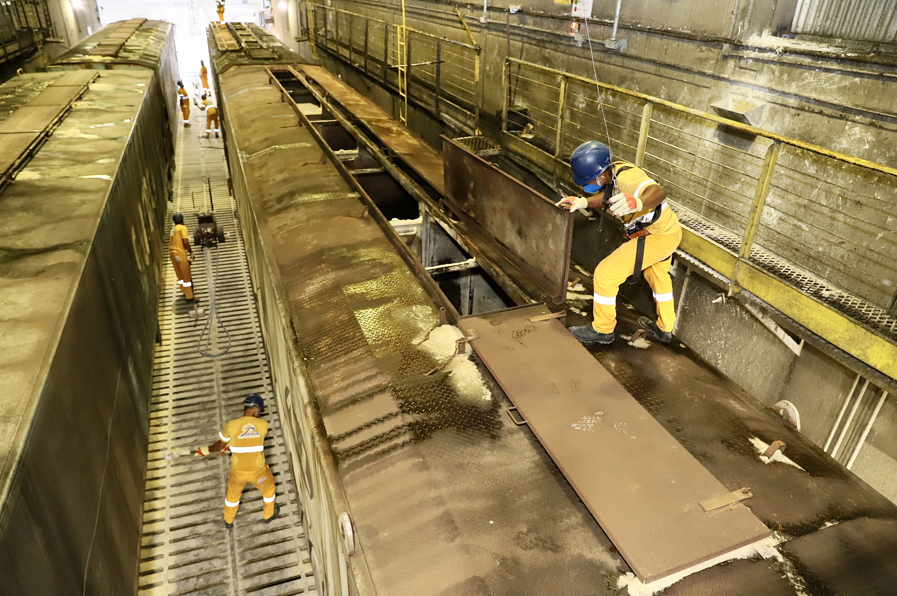 Cada vez mais cargas chegam e saem dos Portos do Paraná por ferrovia