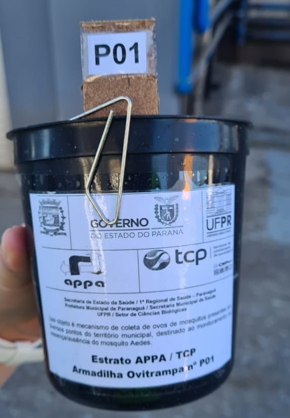 Com o apoio da Diretoria de Meio Ambiente da Portos do Paraná, a equipe da 1ª Regional de Saúde do Estado segue intensificando os trabalhos de prevenção à dengue no cais do Porto de Paranaguá. Nesta semana, 17 armadilhas foram instaladas, de ponta a ponta, para capturar e tentar identificar a presença de ovos do mosquito Aedes aegypti.