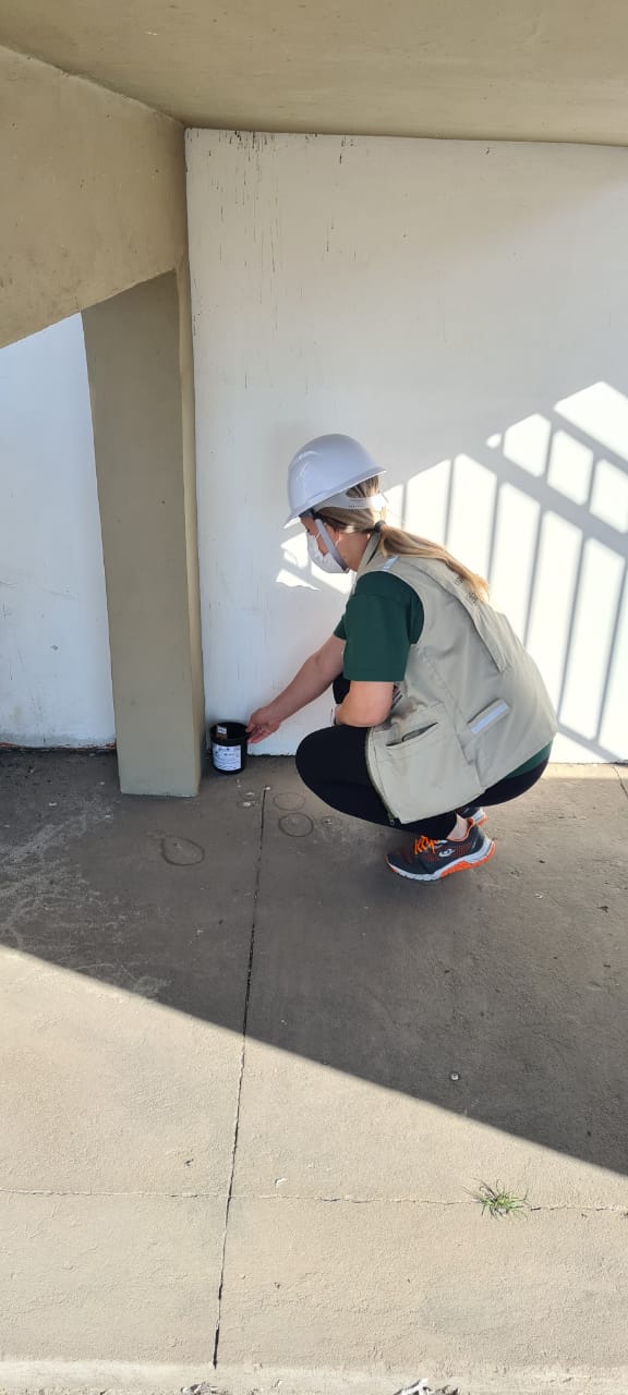 Com o apoio da Diretoria de Meio Ambiente da Portos do Paraná, a equipe da 1ª Regional de Saúde do Estado segue intensificando os trabalhos de prevenção à dengue no cais do Porto de Paranaguá. Nesta semana, 17 armadilhas foram instaladas, de ponta a ponta, para capturar e tentar identificar a presença de ovos do mosquito Aedes aegypti.