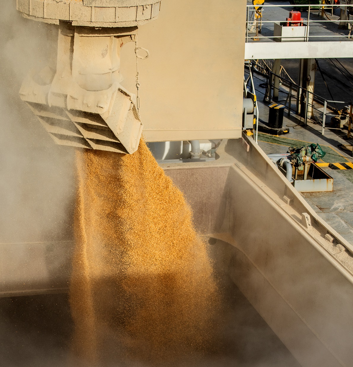 A receita gerada pelas exportações nos Portos do Paraná é quase toda do Agronegócio. Dos quase US$19,83 bilhões acumulados com os embarques em 2021, 90% - cerca de US$17,93 bilhões - foram em produtos agropecuários. Desse montante, o complexo soja e o frango respondem por mais da metade.