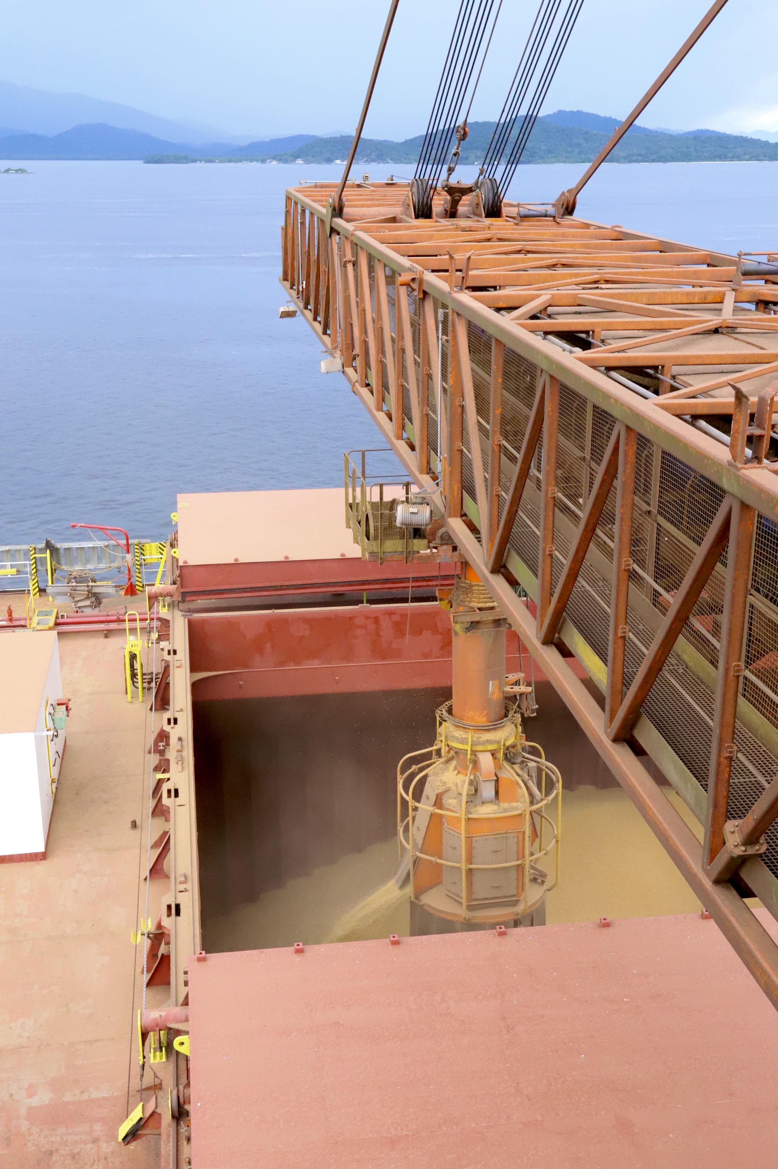 A receita gerada pelas exportações nos Portos do Paraná é quase toda do Agronegócio. Dos quase US$19,83 bilhões acumulados com os embarques em 2021, 90% - cerca de US$17,93 bilhões - foram em produtos agropecuários. Desse montante, o complexo soja e o frango respondem por mais da metade.