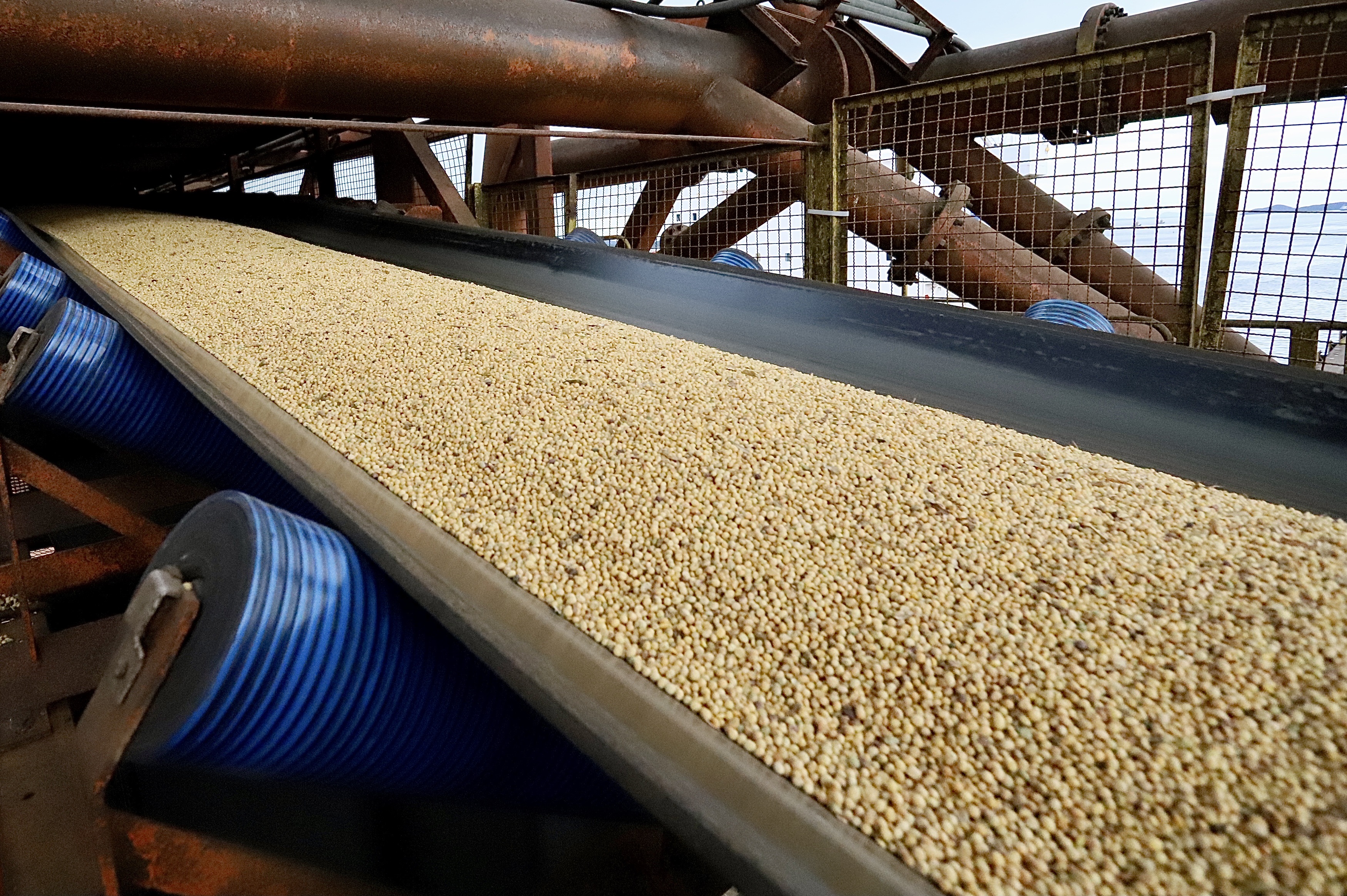 A receita gerada pelas exportações nos Portos do Paraná é quase toda do Agronegócio. Dos quase US$19,83 bilhões acumulados com os embarques em 2021, 90% - cerca de US$17,93 bilhões - foram em produtos agropecuários. Desse montante, o complexo soja e o frango respondem por mais da metade.