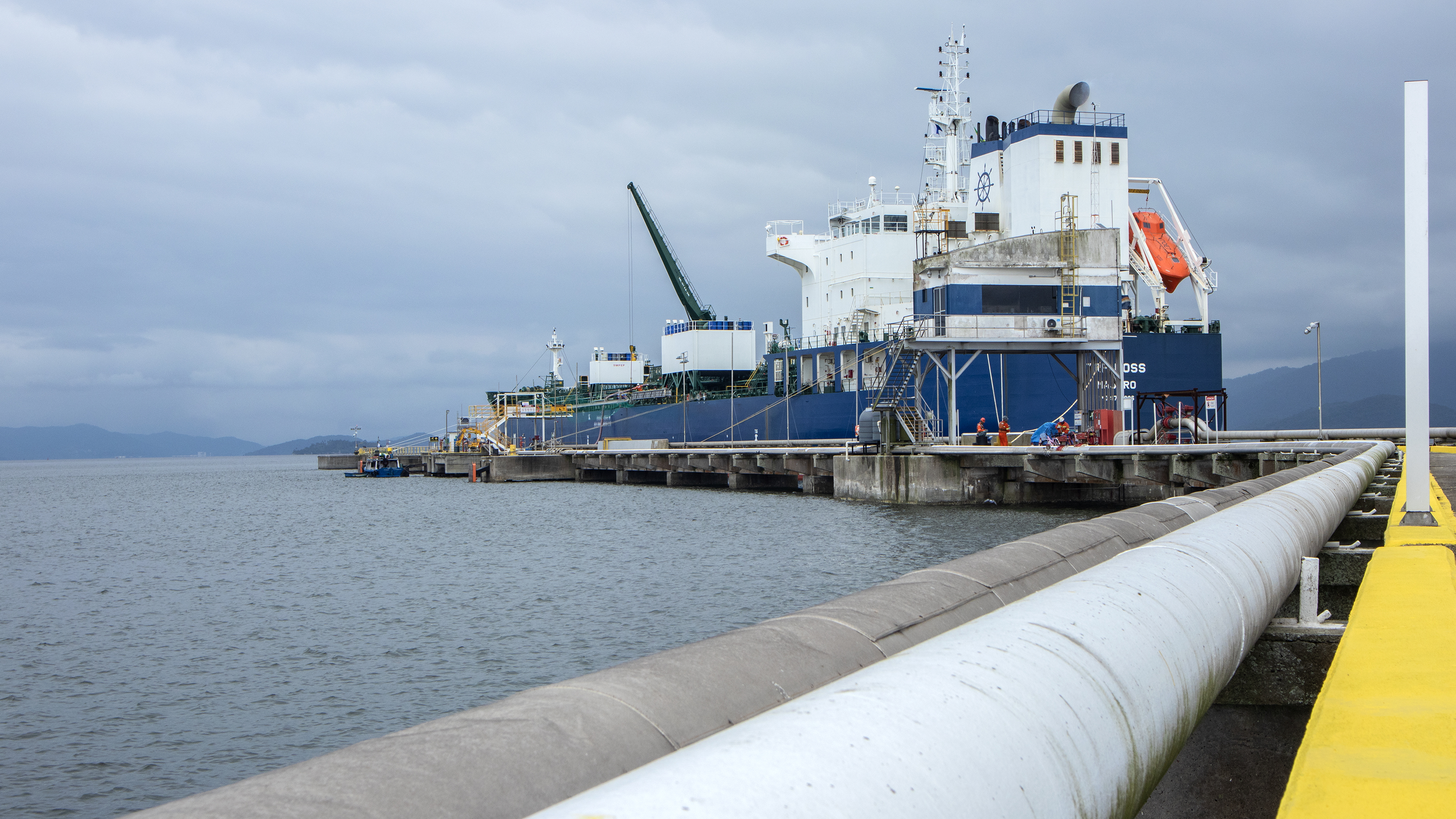 Exportações do complexo soja pelo Porto de Paranaguá crescem 25% no 1º trimestre