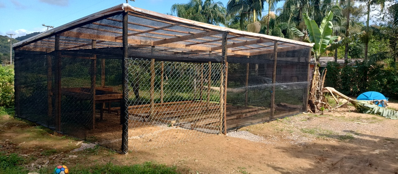Portos do Paraná inaugura oito viveiros comunitários para recuperar áreas degradadas