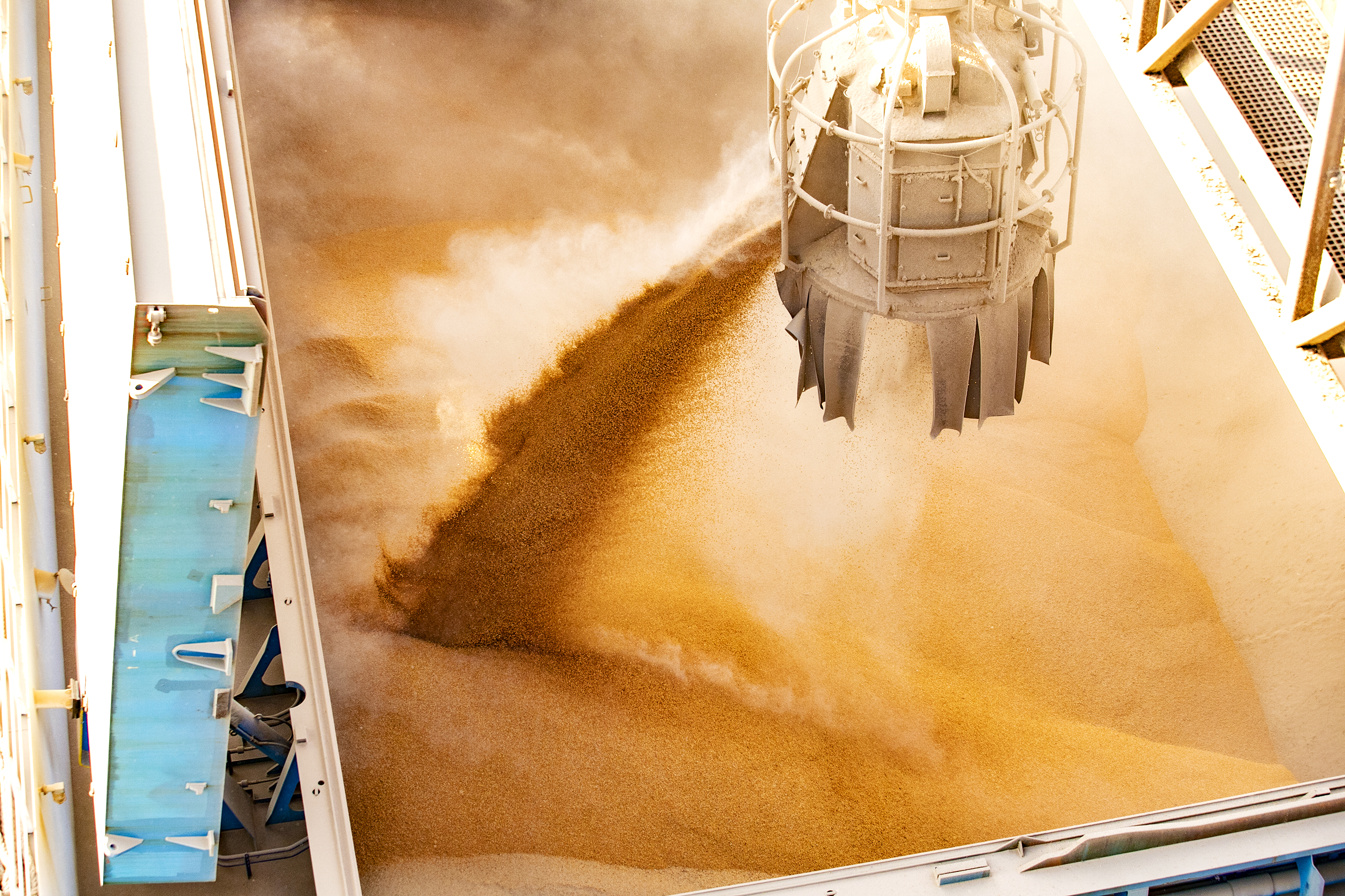 Porto de Paranaguá tem alta de 11,73% nas movimentações de grãos pelo Corredor Leste