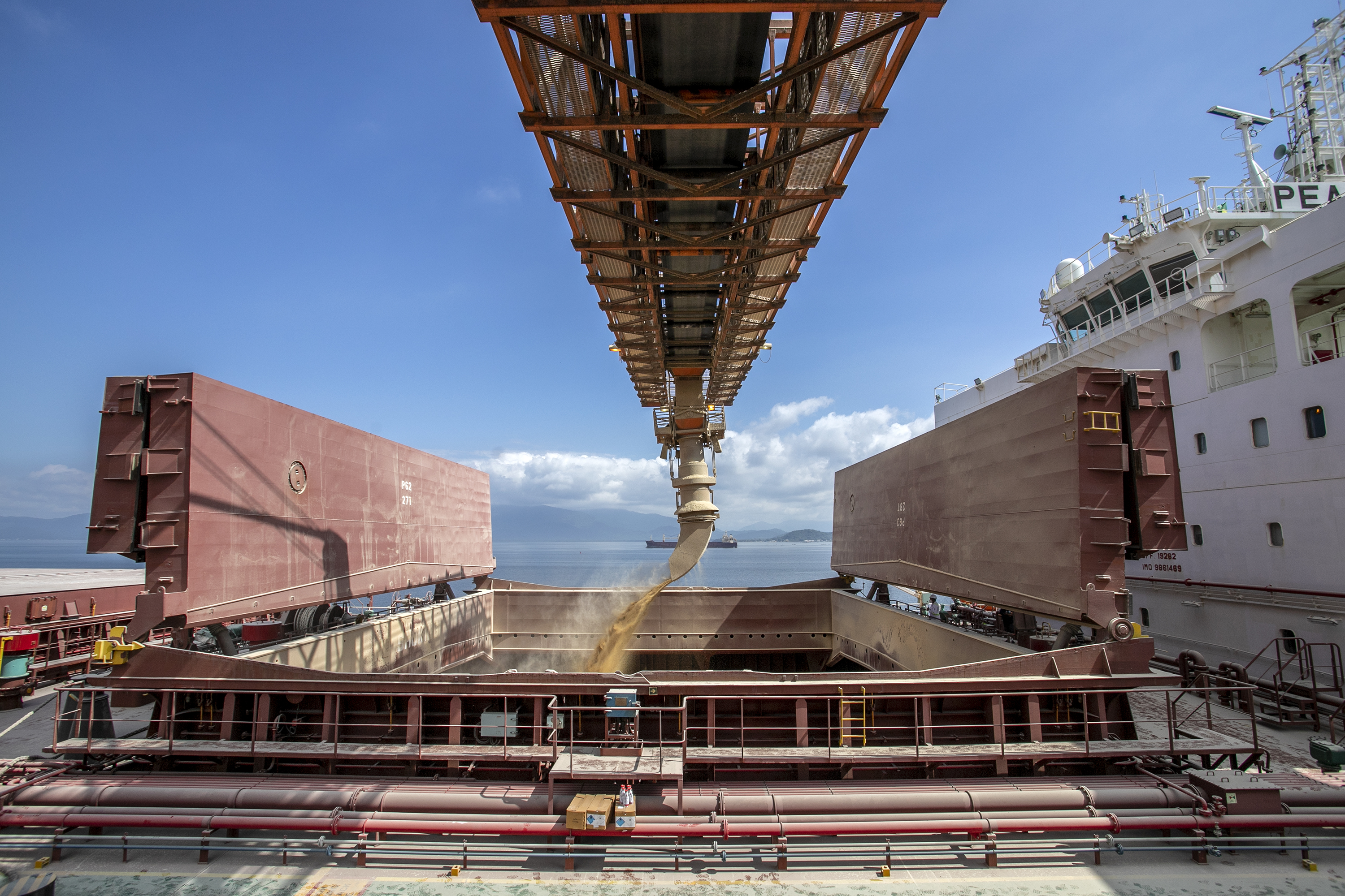 Portos do Paraná registram alta de 4% na movimentação geral de janeiro a julho