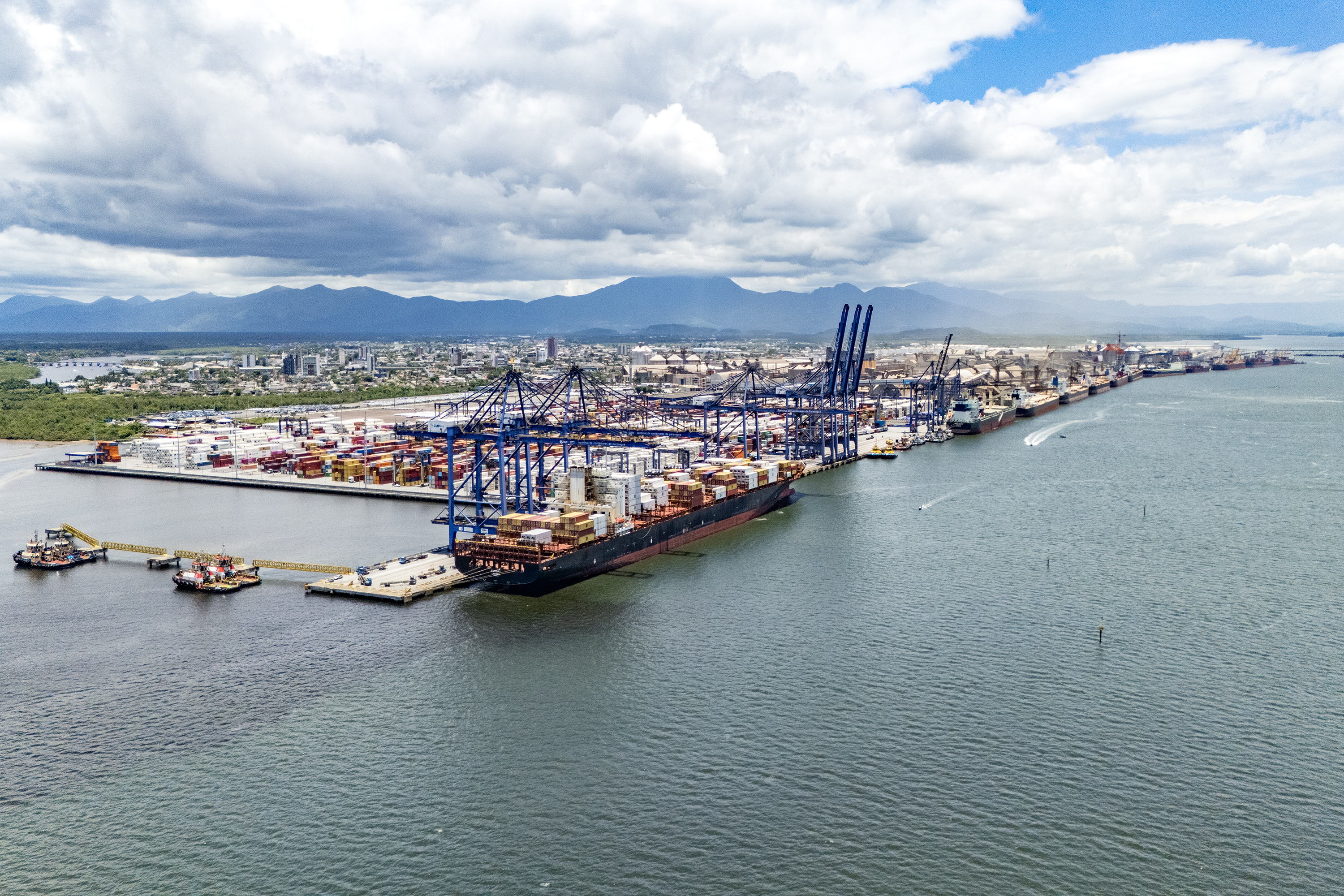 Exportações de frango pelo Porto de Paranaguá crescem 15%