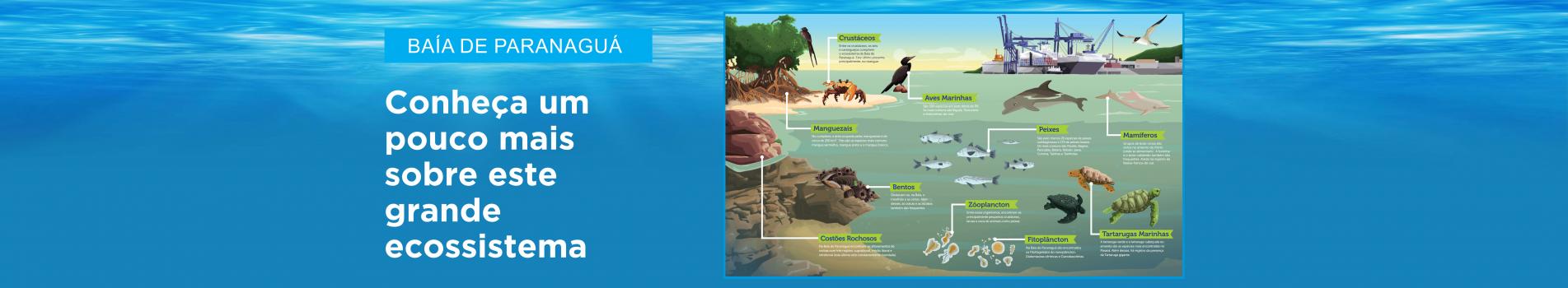 Chamada para as informações ambientais da Baía de Paranaguá