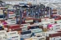 Volume em janeiro deste ano foi 29% superior ao registrado no mesmo período de 2019. Além da marca alcançada, também chama a atenção a diversidade das cargas movimentadas nos contentores. 