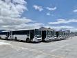São 155 ônibus em uma única operação. Veículos de transporte coletivo serão levados para os portos de Boma, no Congo, e Luanda, em Angola. A operação é feita no cais público, pela empresa Marcon. 