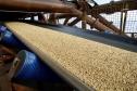 Crescimento se deu em março. Em janeiro, foram 30 mil toneladas, passando para 494.899 em fevereiro e chegando a 1.641.938 toneladas no mês passado. Complexo integra os silos públicos e nove terminais privados.