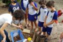 Como educação ambiental, Portos do Paraná implanta composteiras em escolas na Ilha do Mel