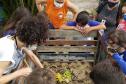 Como educação ambiental, Portos do Paraná implanta composteiras em escolas na Ilha do Mel