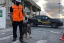 Animais fiscalizam veículos no cais do Porto de Paranaguá, sacolas e mochilas de trabalhadores portuários durante a troca de turno. Ações pontuais tem o objetivo de combater o tráfico internacional de drogas.