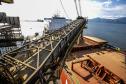 Terminais paranaenses esperam exportar mais de 6,5 milhões de toneladas de granéis neste 2º trimestre