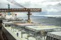 Imagem de Farelo de Soja - Terminais paranaenses esperam exportar mais de 6,5 milhões de toneladas de granéis neste 2º trimestre
