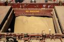 Imagem de Soja - Terminais paranaenses esperam exportar mais de 6,5 milhões de toneladas de granéis neste 2º trimestre