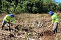 Portos do Paraná inicia plantio de mudas de árvores em áreas de preservação degradadas