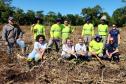 Portos do Paraná inicia plantio de mudas de árvores em áreas de preservação degradadas