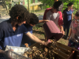 Portos do Paraná instala novas composteiras em escolas da Ilha do Mel