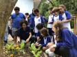 Portos do Paraná instala novas composteiras em escolas da Ilha do Mel