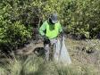 Mutirão de limpeza de manguezais retira quase 2,5 toneladas do entorno de Antonina
