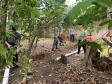 Projeto da Portos do Paraná leva saneamento básico a moradores de Eufrasina