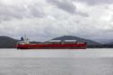 Porto de Paranaguá recebe primeiro navio "verde" do mundo nesta sexta-feira