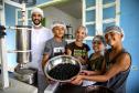 Portos do Paraná oferece oficina gratuita para coleta e despolpa de açaí juçara