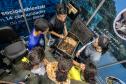 Portos do Paraná apresenta projetos de educação ambiental na Semana do Meio Ambiente 