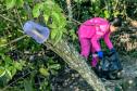 Mutirão de limpeza de manguezais da Portos do Paraná recolhe mais de 600 quilos de resíduos 