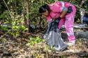 Mutirão de limpeza de manguezais da Portos do Paraná recolhe mais de 600 quilos de resíduos 