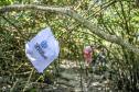 Mutirão de limpeza de manguezais da Portos do Paraná recolhe mais de 600 quilos de resíduos 