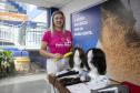 Portuários do Paraná doam cabelos para campanha Outubro Rosa